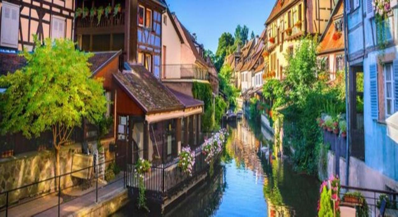 Gite Cote Cour 科尔马 外观 照片