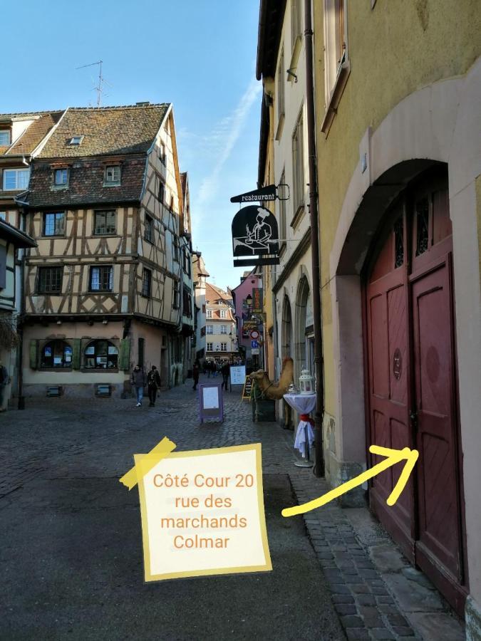 Gite Cote Cour 科尔马 外观 照片
